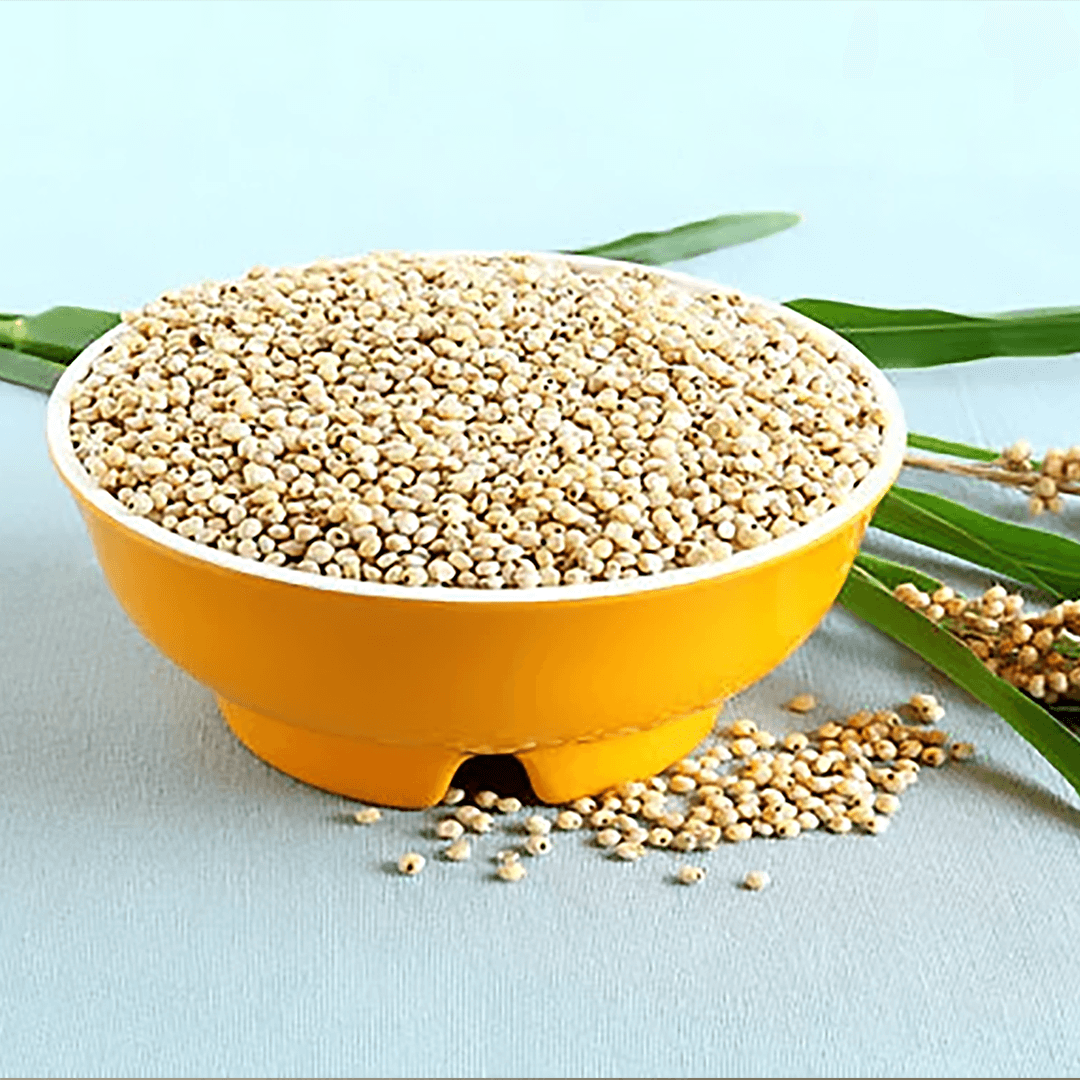 sorghum