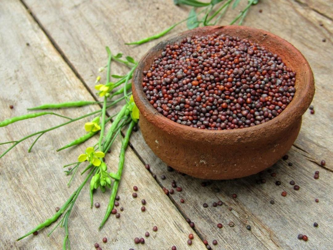 mustard-seeds